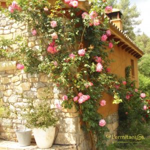 Ca l’Ermitanyo – Casa Torre Blanca | Turismo rural en Súria (Bages)